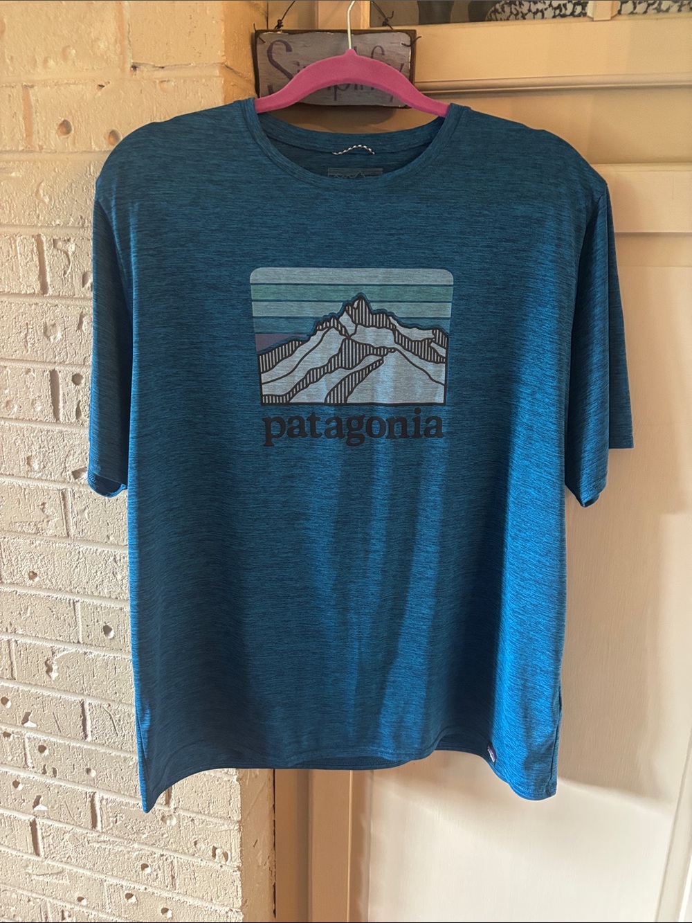 Patagonia Teal Blue Men's Short-Sleeve Graphic Tee